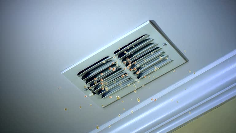Best HVAC Duct Inspection Services  in Sea Breeze, NC